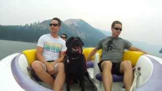 preview picture of video 'Dog on a Jetboat'