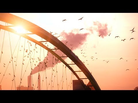 Will Cookson - Brightest Star