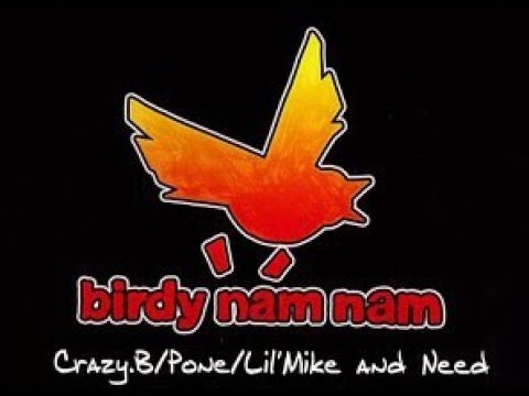 Bumrush 27 A - DJ Damage + Show DMC Birdy Nam Nam (2002)