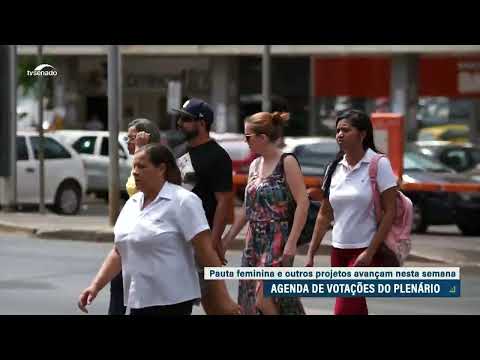Pauta feminina é destaque no Plenário nesta quarta
