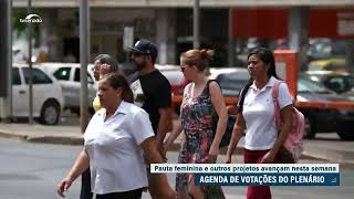 Pauta feminina é destaque no Plenário nesta quarta