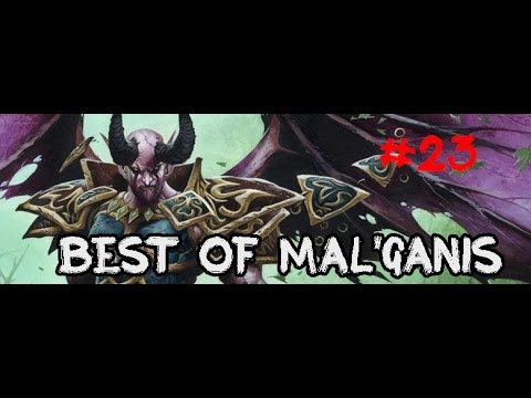 Hearthstone WTF Moments - BEST OF MAL'GANIS