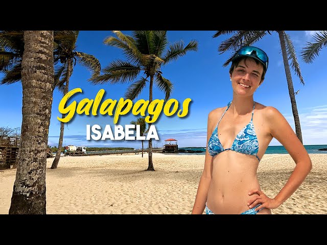 La più bella delle GALAPAGOS - Viaggio a ISABELA