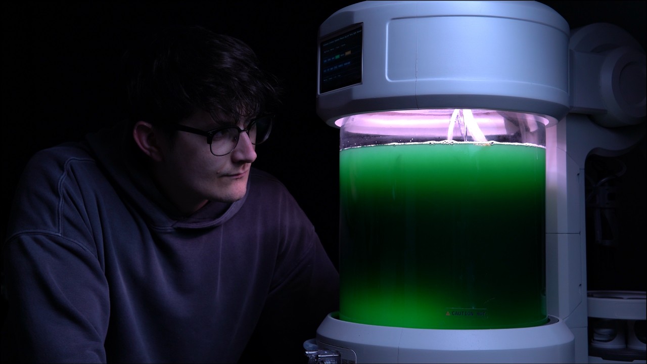 Can You Grow Food in a Tube Using Only Light?