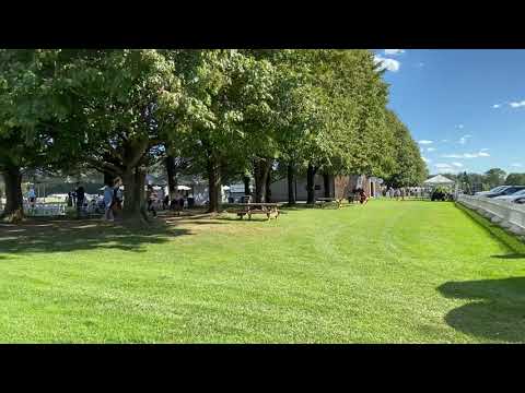 Considering a move to Greenwich CT?