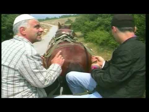 mister  x  majla - kali i kujt asht