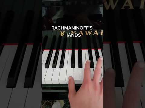 Normal Hands vs Pianists Hands