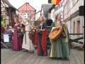 Die Irrlichter - Schockschwerenot - Live Annweiler ...