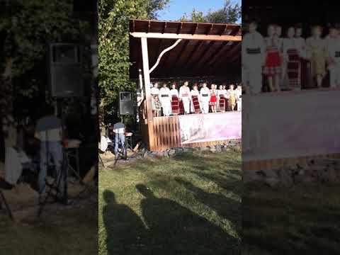 Ansamblul Folcloric Voinicelul din Lugoj