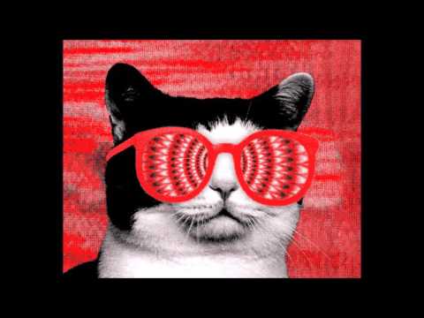 Dash Groove,Hot Bullet Vs.Projota Feat Marcelo D2 (Doctor D.  Mashup)