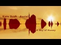 Kate Bush ‎ "Aerial " A Sky Of Honey CD2/2 Full Album HD