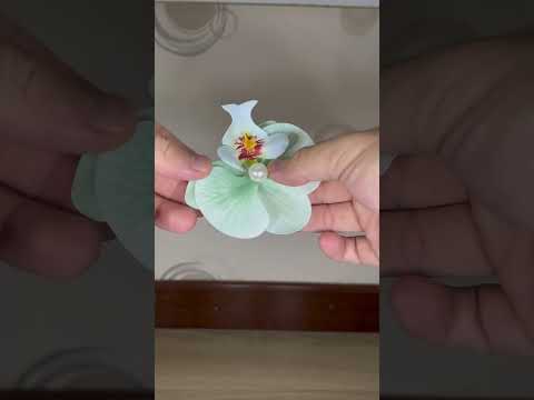 Adorable.Finds Hair Clips And Blind Box Product Showcase #business #event  #blindbox #surprisebox