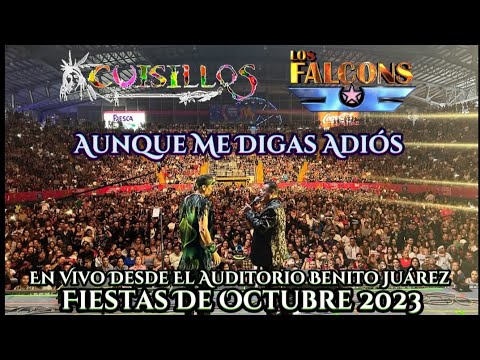 Banda Cuisillos Ft Los Falcons - Aunque Me Digas Adiós ( En Vivo Desde El Auditorio Benito Juárez )