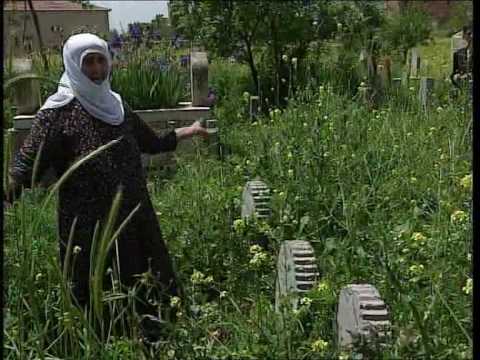 KURDISTAN- IL PAESE CHE NON C'E' - parte I -