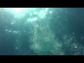 APEX FILMS UNDERwater The Bottom Of The Pool