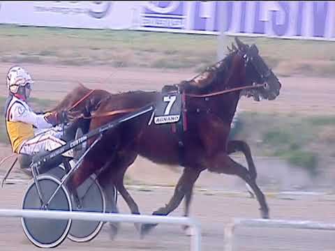 Trotto 08/03/2019 - 5ª corsa