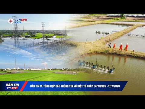 Bản tin EVNSPC News số 11