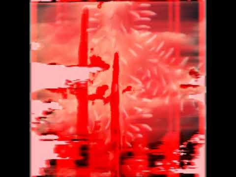 Archive Video + Lil Peep, Nedarb, & Craig Xen. 's California World.