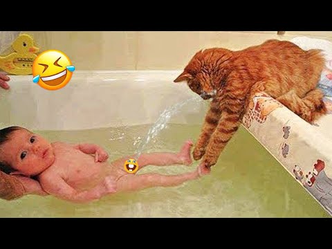 When your silly cat becomes your best friend 😸😸 | Cats and Dogs funny videos