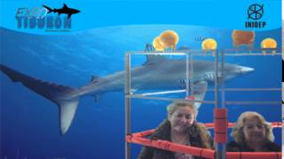 DIA 3 Expo Tiburon13