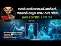මේ කාන්තාවක්ද එහෙමත් නැත්නම් මිනිසුන