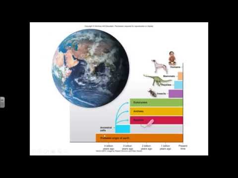 Micro Ch 01 Overview of Microbiolgy