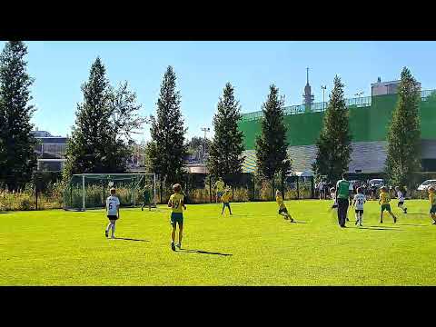 EsPa 2013 Keltavihree - FC Haka Valkoinen