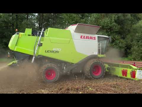 Sklizeň sóji 2022 | Claas Lexion 670 | Bludovská a.s.
