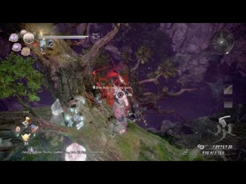 Nioh 2 - 218,000+ damage Punch