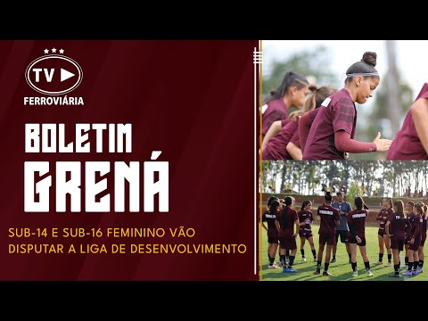 Boletim Grená - 10/04/2023!