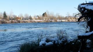 Cascade Waltz (Guitar Solo)