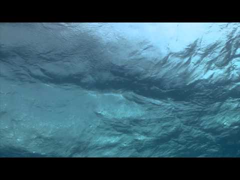 Ruqya in London | Verses OF EXPELLING THE JINN