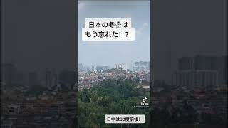 日本の冬を忘れる？？ マレーシア、毎日どんな天気？