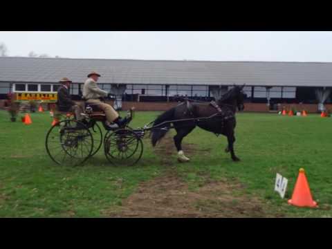 Fahrturnier Heek 8.4.2017