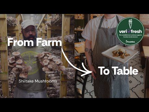 How A Michelin Guide Restaurant Uses Locally-Grown Mushrooms Every Week