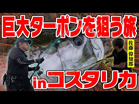 【衝撃】佐藤偉知郎と未知なる巨大ターポンを狙え！！inコスタリカ2024