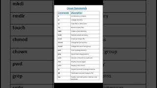 Linux Commands | Essential Linux Commands Every Beginner Should Know!