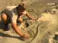 Crocodile Hunter Kriechtiere Auf Tauchgang 1 4