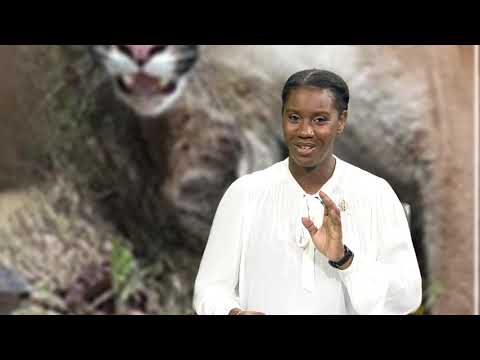 The Environment Matters  April 2021- EIAs and public participation