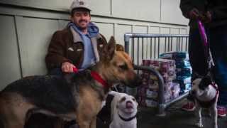 LOVE WITHOUT LIMITS:  …..All Animals Deserve Care