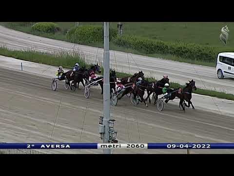 Aversa trotto 9 Aprile 2022 - 2° Corsa