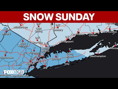 NYC Weather: Sunday morning forecast