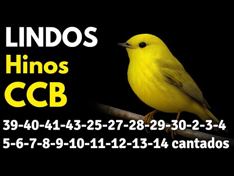 HINOS CCB 39-40-41-43-25-27-28-29-30-2-3-4-5-6-7-8-9-10-11-12-13-14 cantados