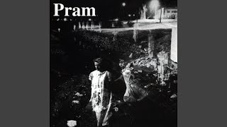 The Way Of The Mongoose