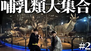 動物大集合で加藤純一大興奮!【国立科学博物館#2】