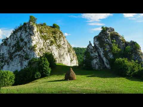 @ionbogdanstefanescu Traditional - Mociriță cu trifoi