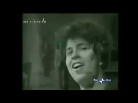 Coniglietto   Romans