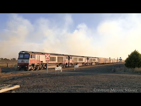 7AM9 SCT Mixed Freight Train: Steel, Boxcars & Containers (18/5/2024) - PoathTV Australian Railways