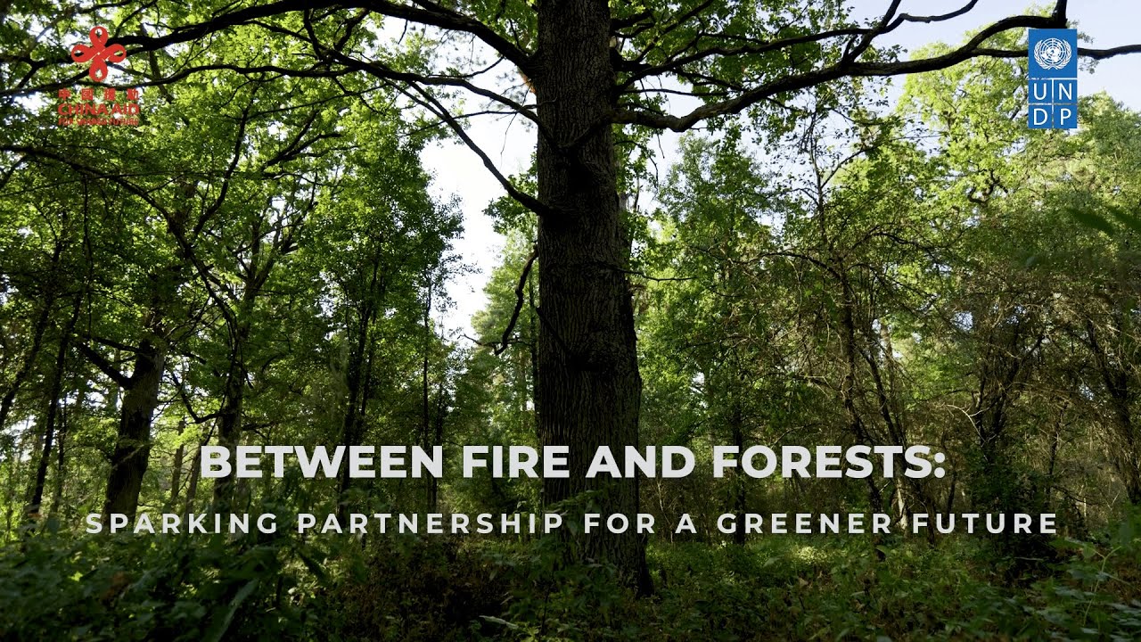 Between Fire and Forests: Sparking Partnership for a Greener Future