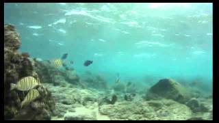 Snorkel at Poipu - little town